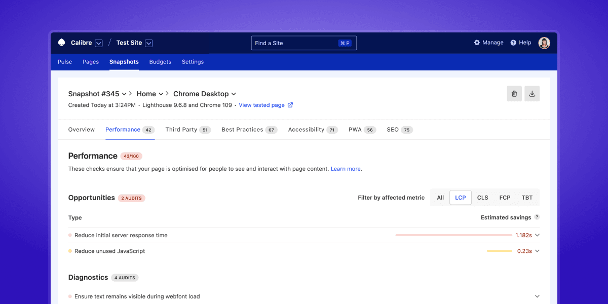 Performance audits tab showing opportunities and diagnostics for improving performance