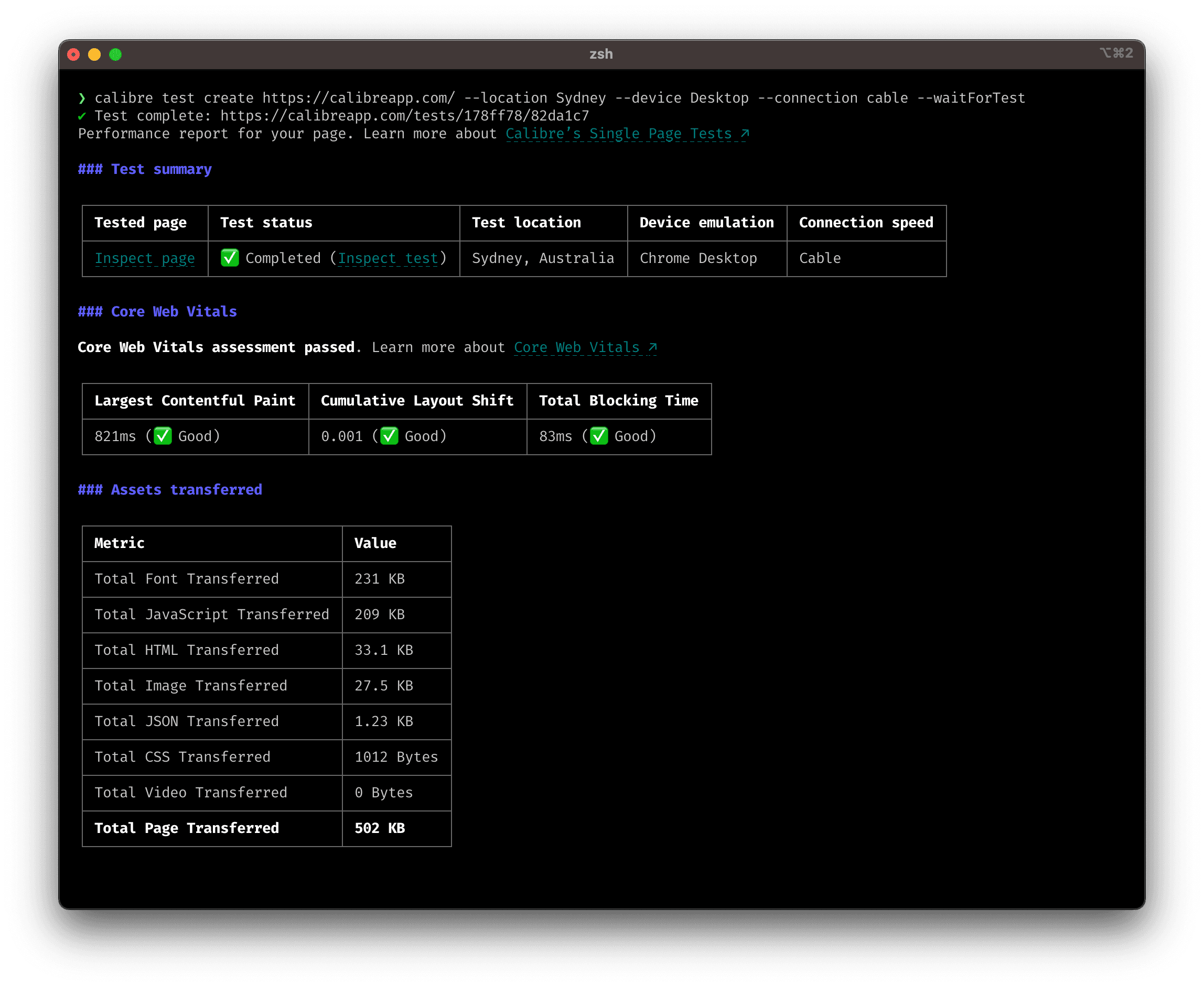 Screenshot: Terminal displaying Single Page Test report output